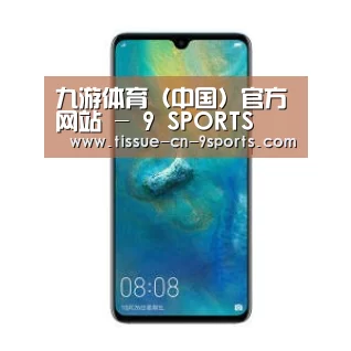 华为无线快充手机