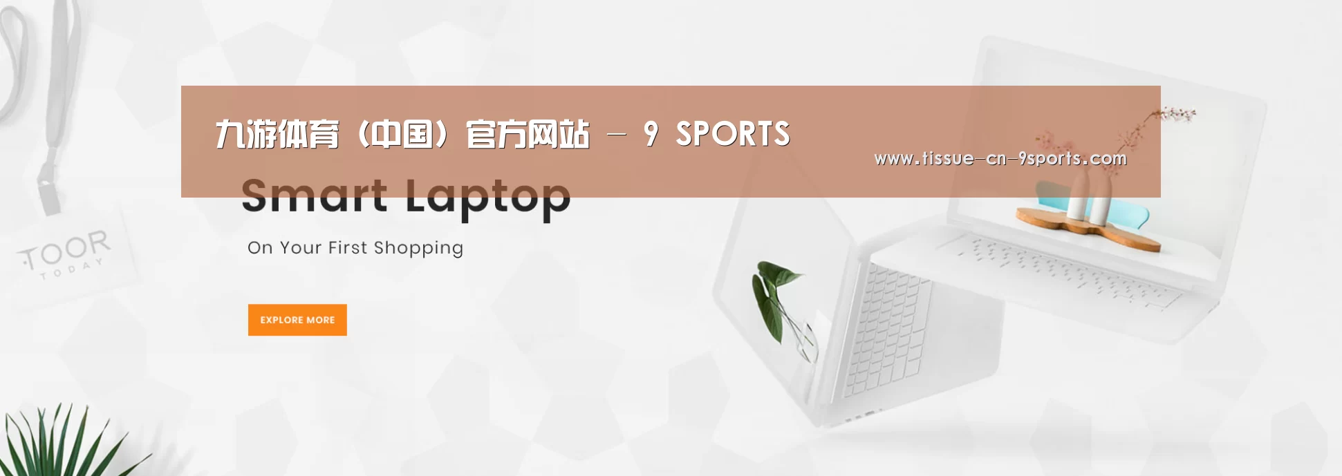 某某网络科技有限公司